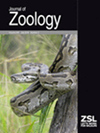 JOURNAL OF ZOOLOGY杂志封面